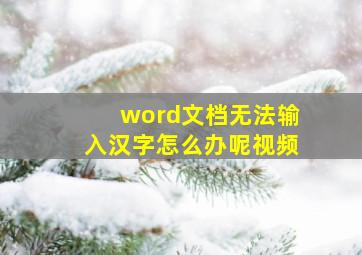 word文档无法输入汉字怎么办呢视频