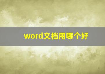 word文档用哪个好