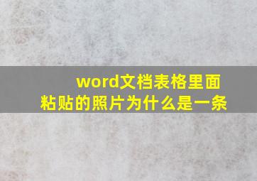 word文档表格里面粘贴的照片为什么是一条