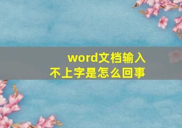 word文档输入不上字是怎么回事