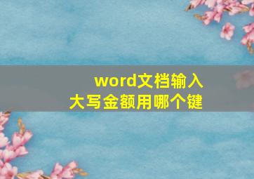 word文档输入大写金额用哪个键