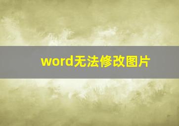 word无法修改图片