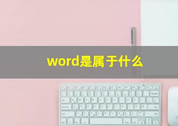 word是属于什么