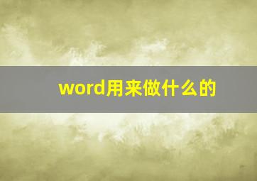 word用来做什么的