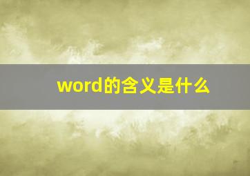 word的含义是什么