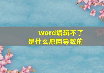 word编辑不了是什么原因导致的