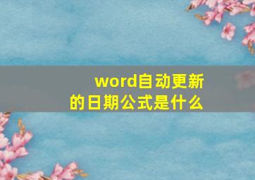 word自动更新的日期公式是什么