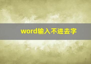 word输入不进去字