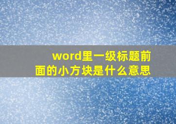 word里一级标题前面的小方块是什么意思