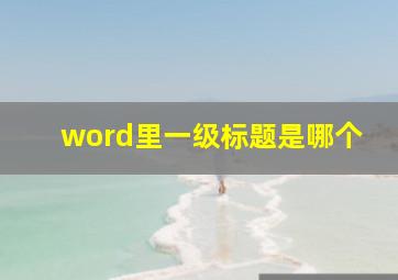 word里一级标题是哪个