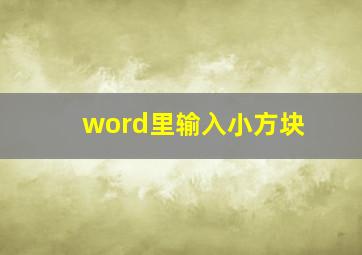 word里输入小方块