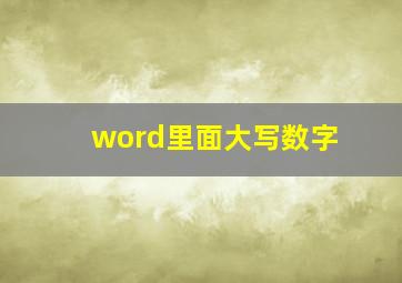 word里面大写数字