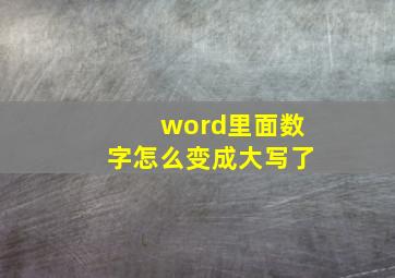 word里面数字怎么变成大写了