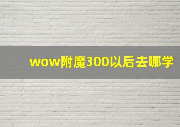 wow附魔300以后去哪学