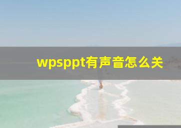 wpsppt有声音怎么关