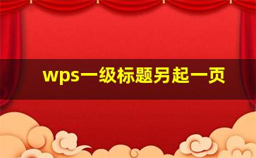 wps一级标题另起一页