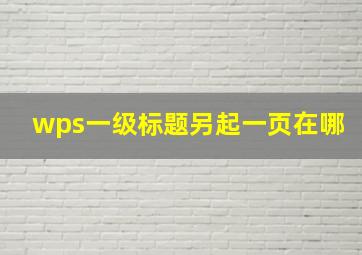 wps一级标题另起一页在哪