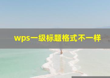 wps一级标题格式不一样