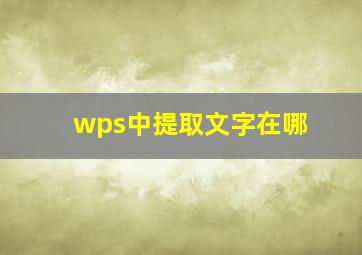 wps中提取文字在哪