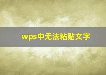 wps中无法粘贴文字