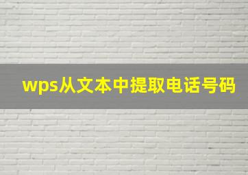 wps从文本中提取电话号码