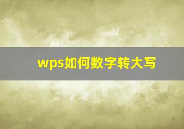 wps如何数字转大写