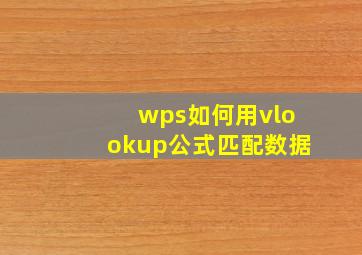 wps如何用vlookup公式匹配数据