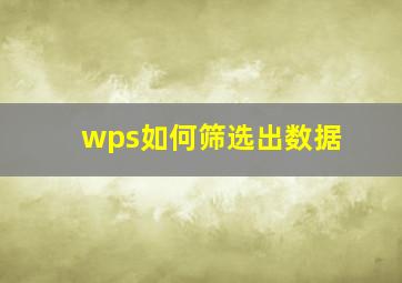 wps如何筛选出数据