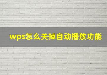 wps怎么关掉自动播放功能