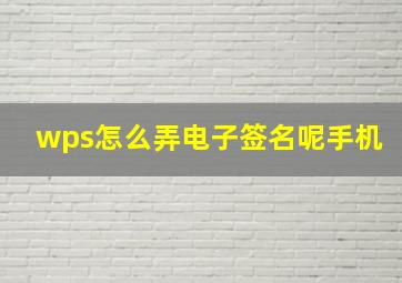 wps怎么弄电子签名呢手机