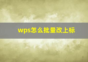 wps怎么批量改上标