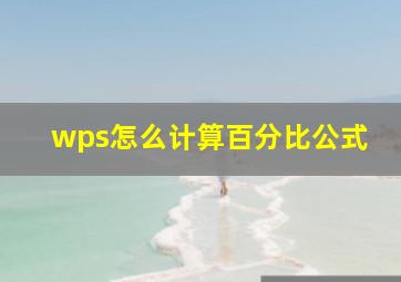 wps怎么计算百分比公式