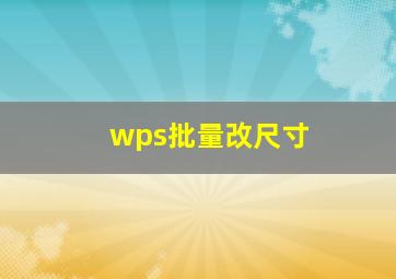 wps批量改尺寸