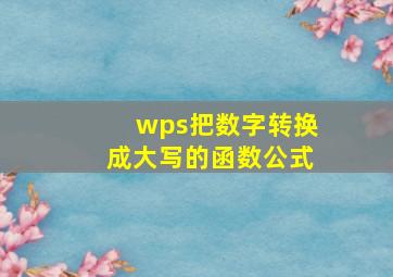 wps把数字转换成大写的函数公式