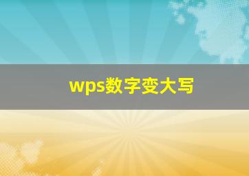 wps数字变大写