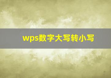 wps数字大写转小写