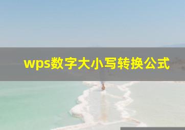 wps数字大小写转换公式