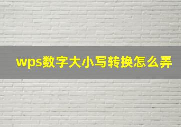 wps数字大小写转换怎么弄