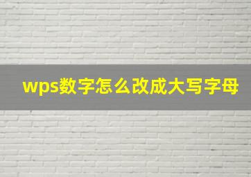 wps数字怎么改成大写字母