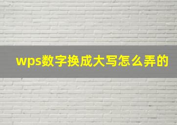 wps数字换成大写怎么弄的