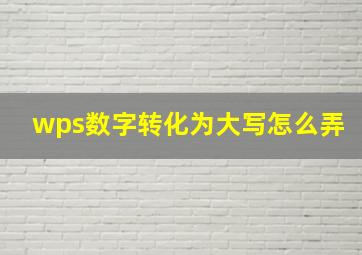 wps数字转化为大写怎么弄