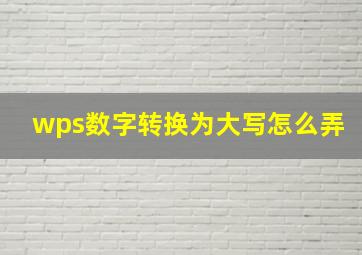 wps数字转换为大写怎么弄