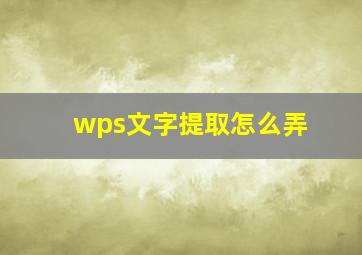 wps文字提取怎么弄