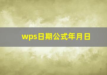 wps日期公式年月日