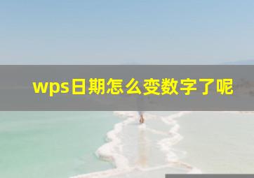 wps日期怎么变数字了呢