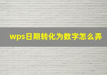 wps日期转化为数字怎么弄