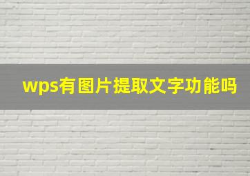 wps有图片提取文字功能吗