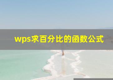 wps求百分比的函数公式