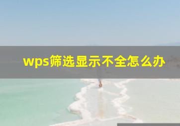 wps筛选显示不全怎么办