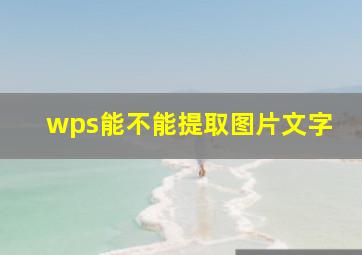 wps能不能提取图片文字